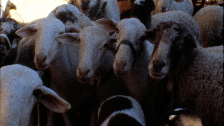 Bang Bang Stefi! still 4