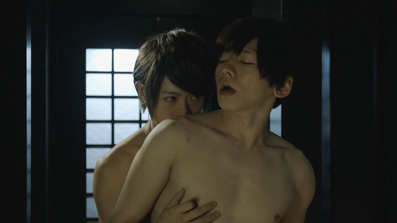 The Shortest Distance Is Round still