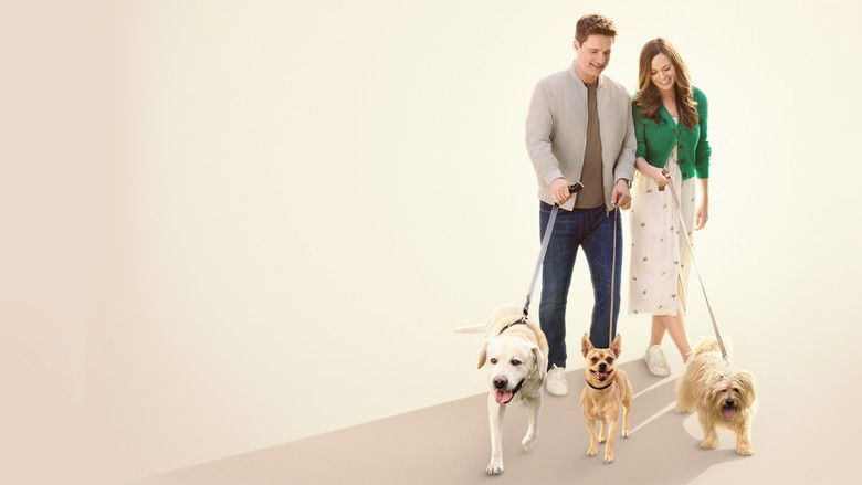 The More Love Grows still 1