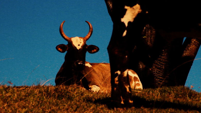 Republic of Evil Ants still 3