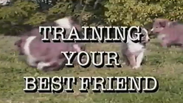 Training Your Best Friend still 1