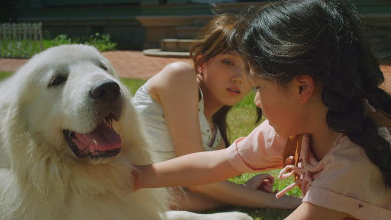 Fullmetal Alchemist still 2