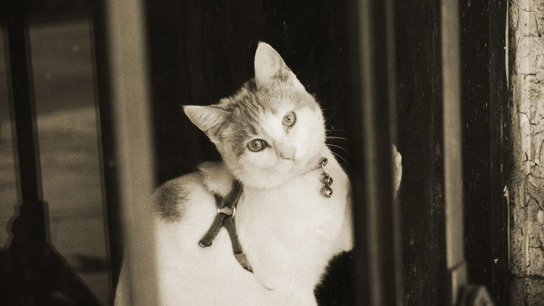 Time Traveling Through Time still 4