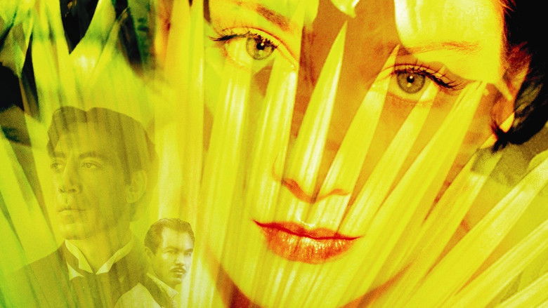 Love in the Time of Cholera still 2