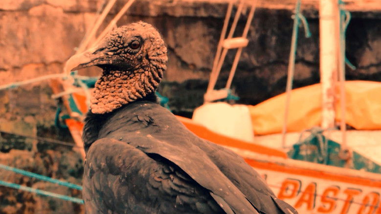 Republic of Evil Ants still 4