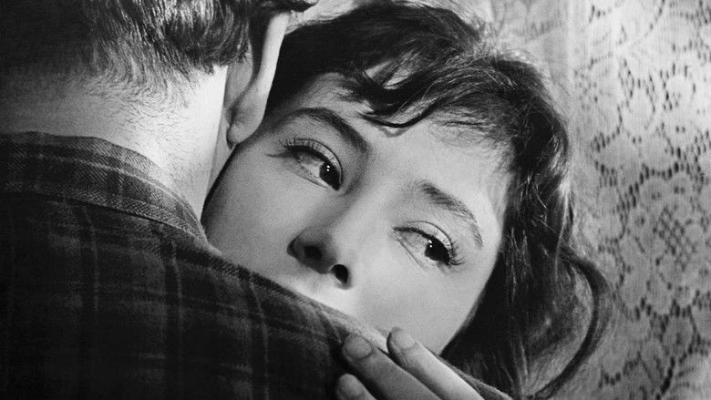 The Cranes Are Flying still 3