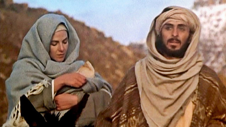 The Visual Bible: Matthew still 4