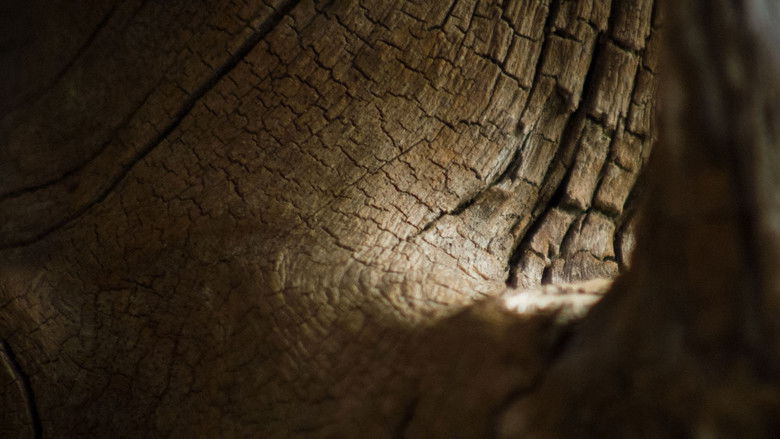 Creature Catalogue still 1