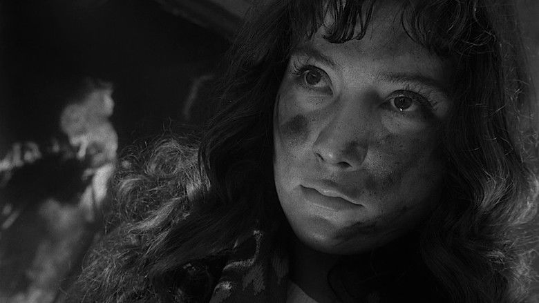 The Cranes Are Flying still 2