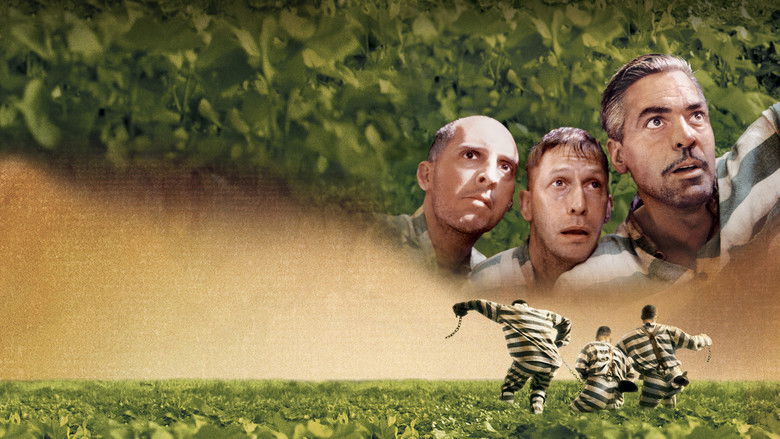 O Brother, Where Art Thou? still 4