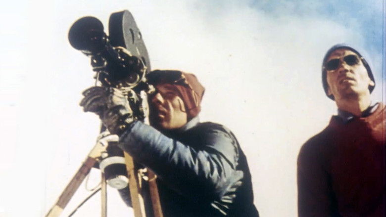 Stars at Noon still 2