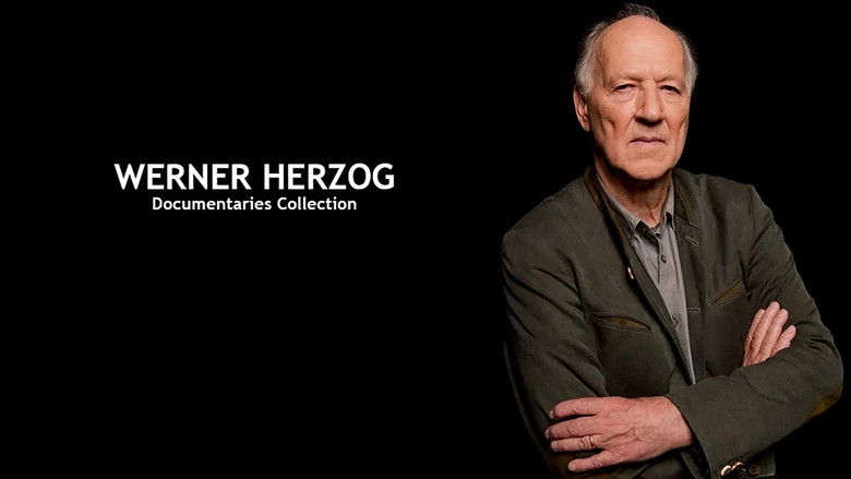 The White Diamond still 3