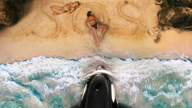 Killer Whale still 2