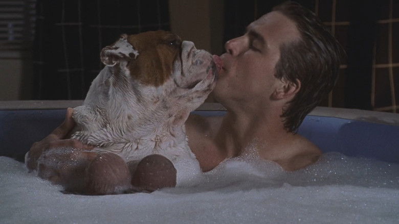 National Lampoon's Van Wilder still 4