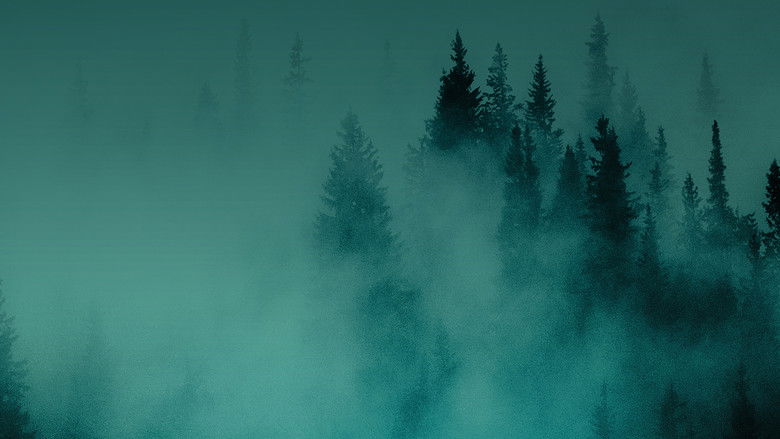 Hunting Matthew Nichols still