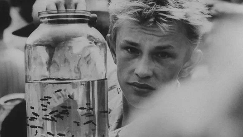 If I Had Four Dromedaries still 2