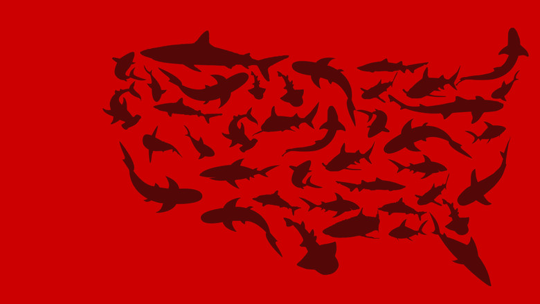 United Sharks of America still 2