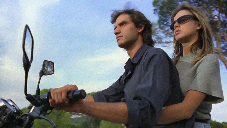 The Red Squirrel still