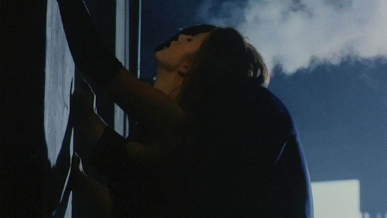 Another 9 1/2 Weeks still