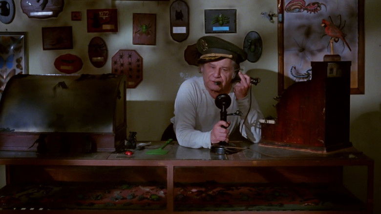 Saturday the 14th still