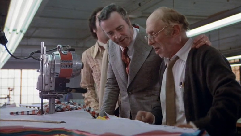 Save the Tiger still 2