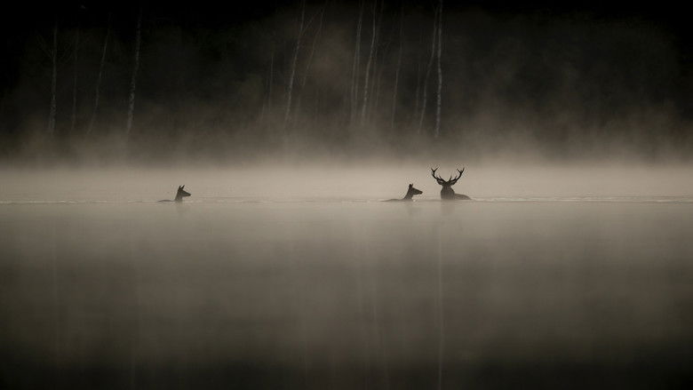 Whispers in the Woods still 2