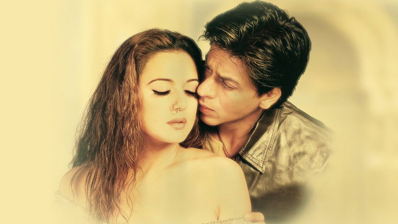 Veer-Zaara still