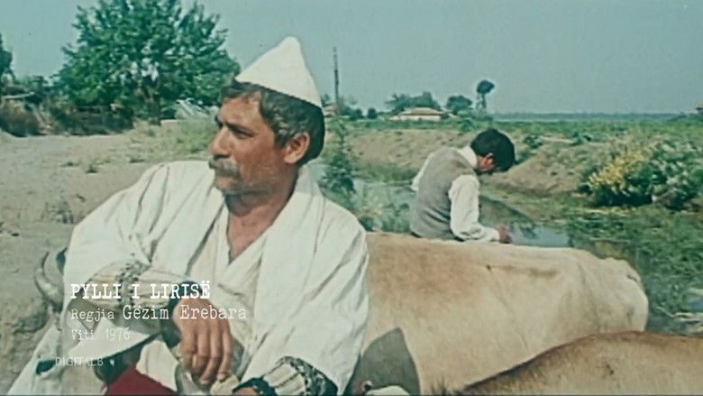 The Forest of Freedom still 1