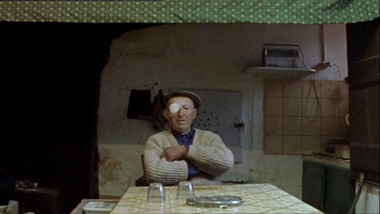 Profils paysans : l'approche still 2