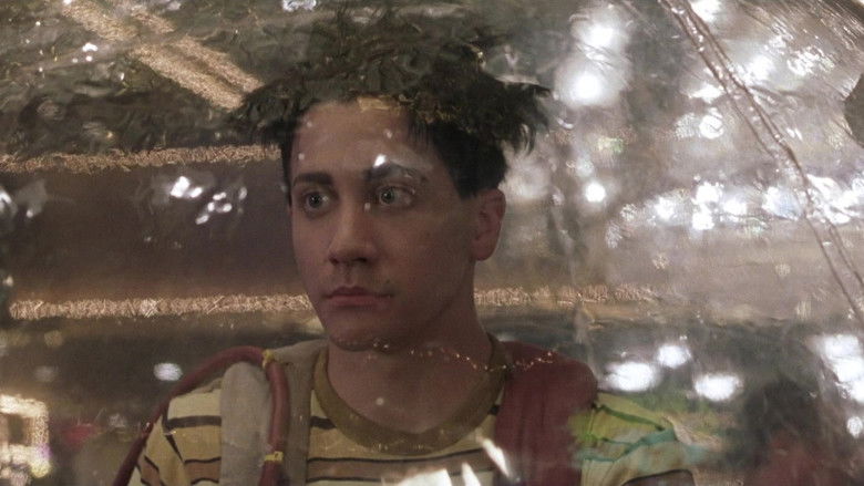 Bubble Boy still