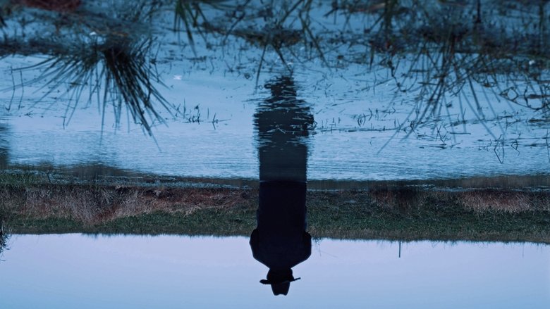 A Short Story still 1