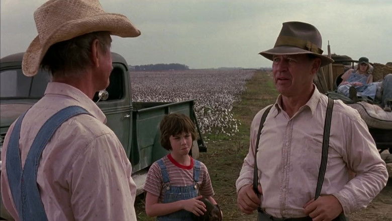 A Painted House still 1