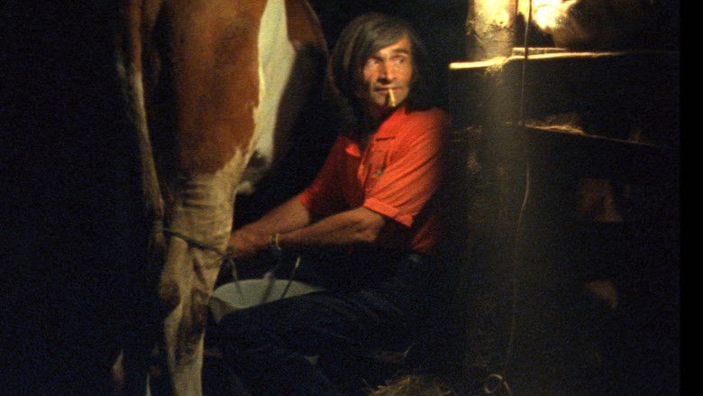 Profils paysans : le quotidien still 2