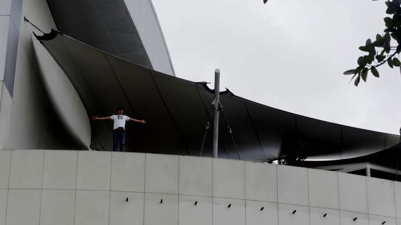 Green Butterflies still