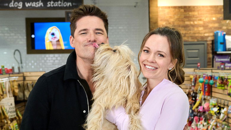 The More Love Grows still 4