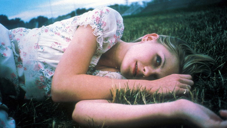 The Virgin Suicides still 3
